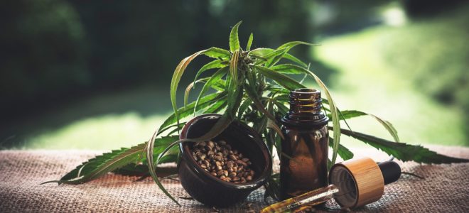 Advantages of CBD and Marijuana To Our Health