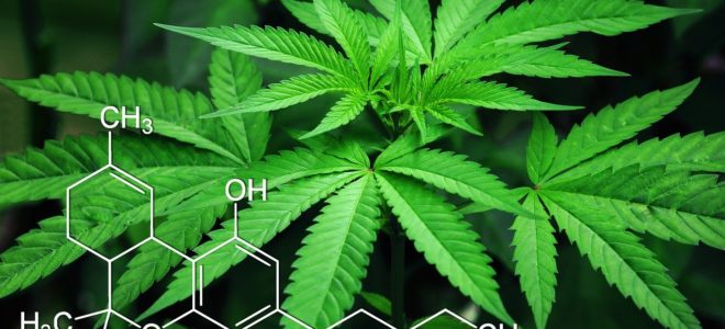3 Health Benefits of CBD Oil