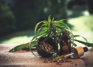cbd oil